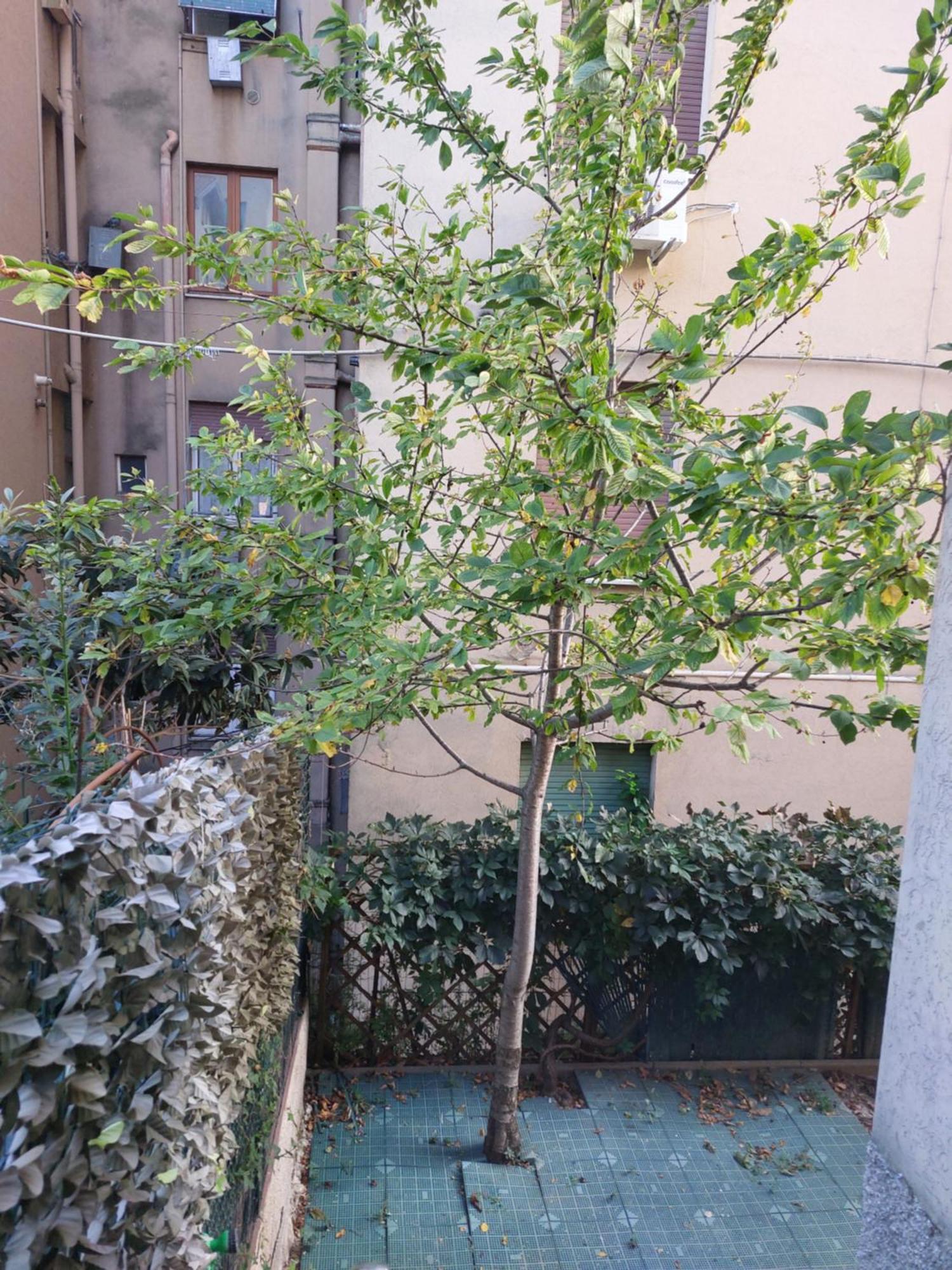 Il Ciliegio - Casa Vacanza Macerata Eksteriør bilde